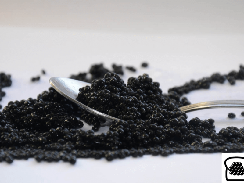 Guide des magasins d’alimentation gastronomique : Comment servir, conserver et manger correctement le caviar